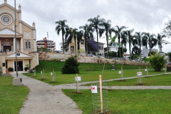 Poder Executivo e RGE iniciam processo de arborização da Praça da Prefeitura e Igreja Matriz