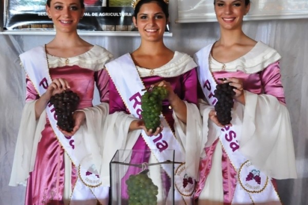 Sarandi premia maior cacho de uva do município