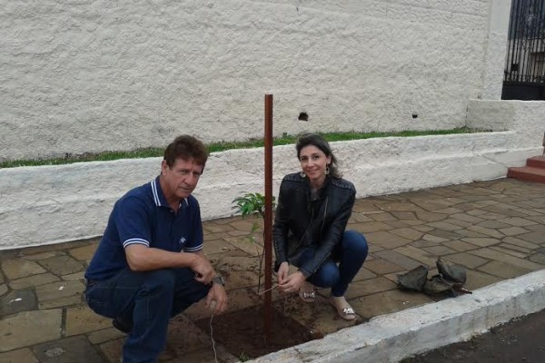 Departamento de Meio Ambiente realiza replantio de árvores